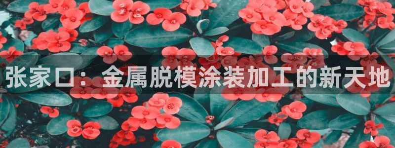 美狮美高梅酒店狮子