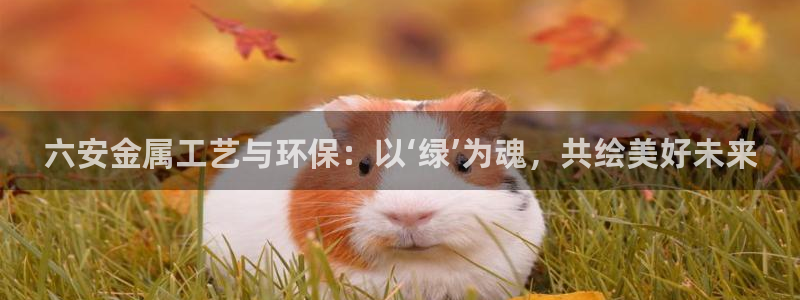 美高梅自助餐