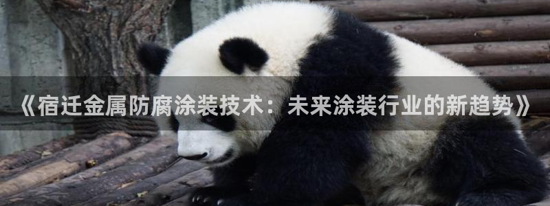 美高梅会员卡等级划分