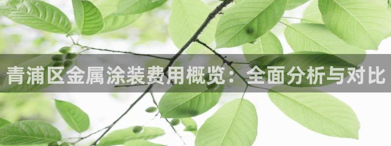 美高梅老板叫什么：青浦区金属涂装费用概览