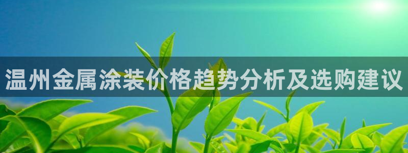美高梅公司的社会信用代码查询：温州金属涂