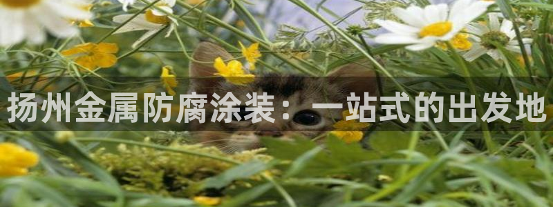 美高梅北京宋家庄