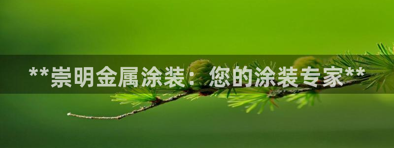 美高梅官网：**崇明金属涂装：您的涂装专