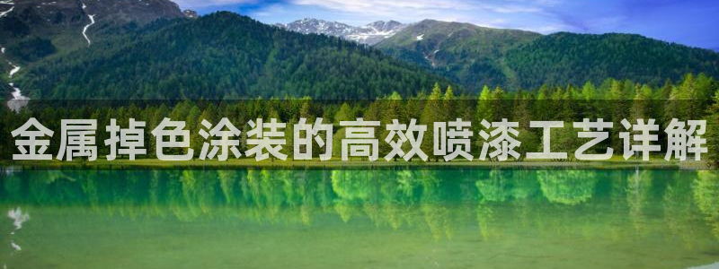 美狮美高梅酒店黑卡