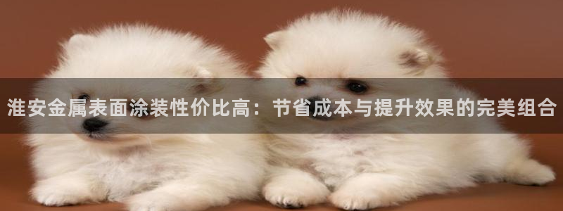 美高梅控股有限公司怎么样