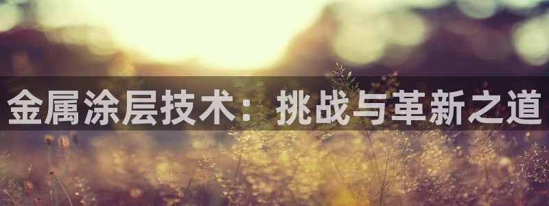 美高梅酒店ka秀价格