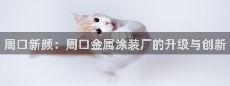 鲁能 钓鱼台 美高梅