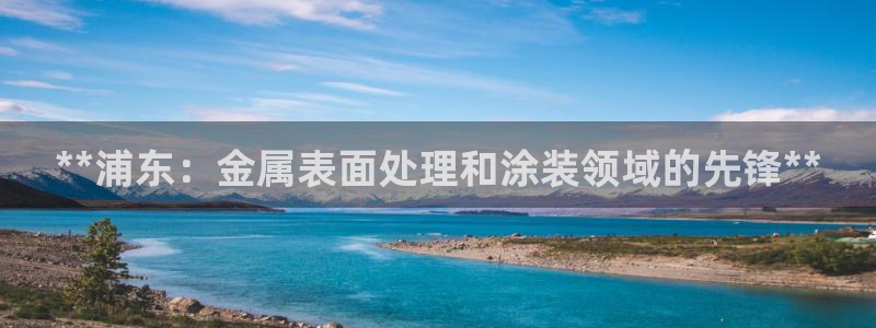 美高梅里面有什么：**浦东：金属表面处理