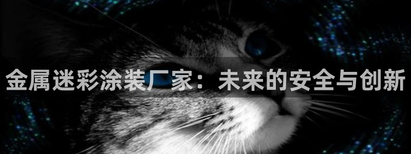 美狮美高梅酒店何超